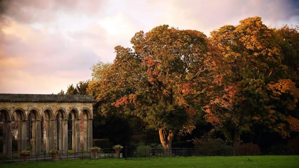 An autumnal picture of Gibside, National Trust