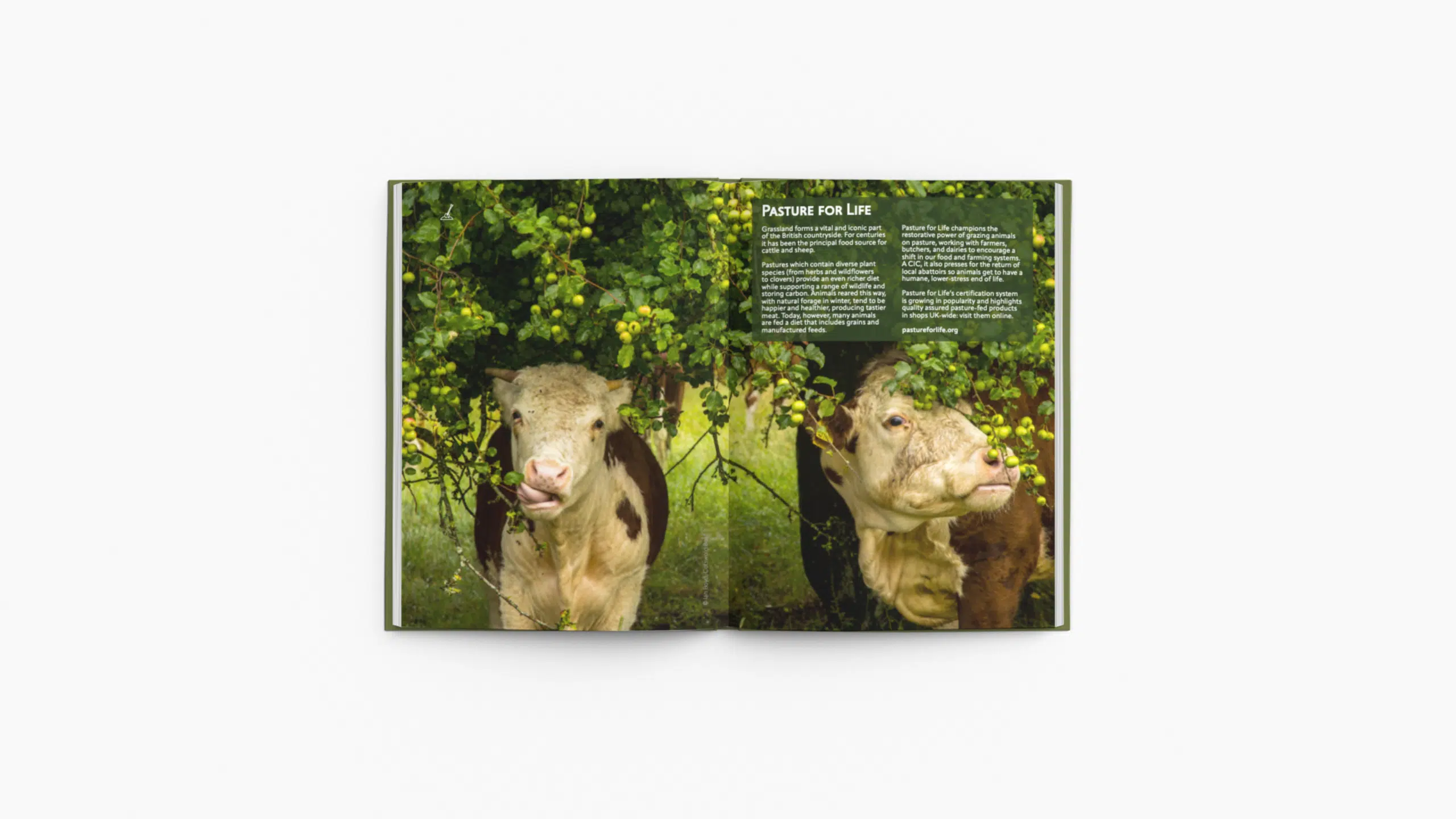 The Farm Shop Guide - Image 6