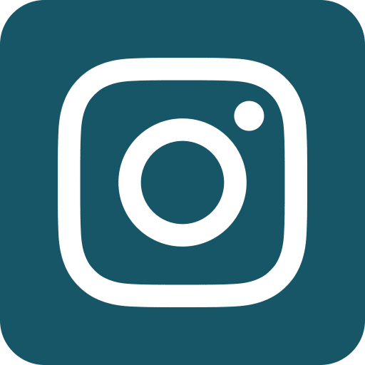 Insta icon website