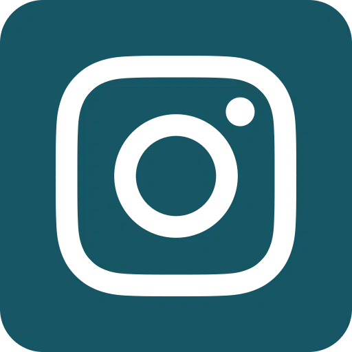 Insta icon website