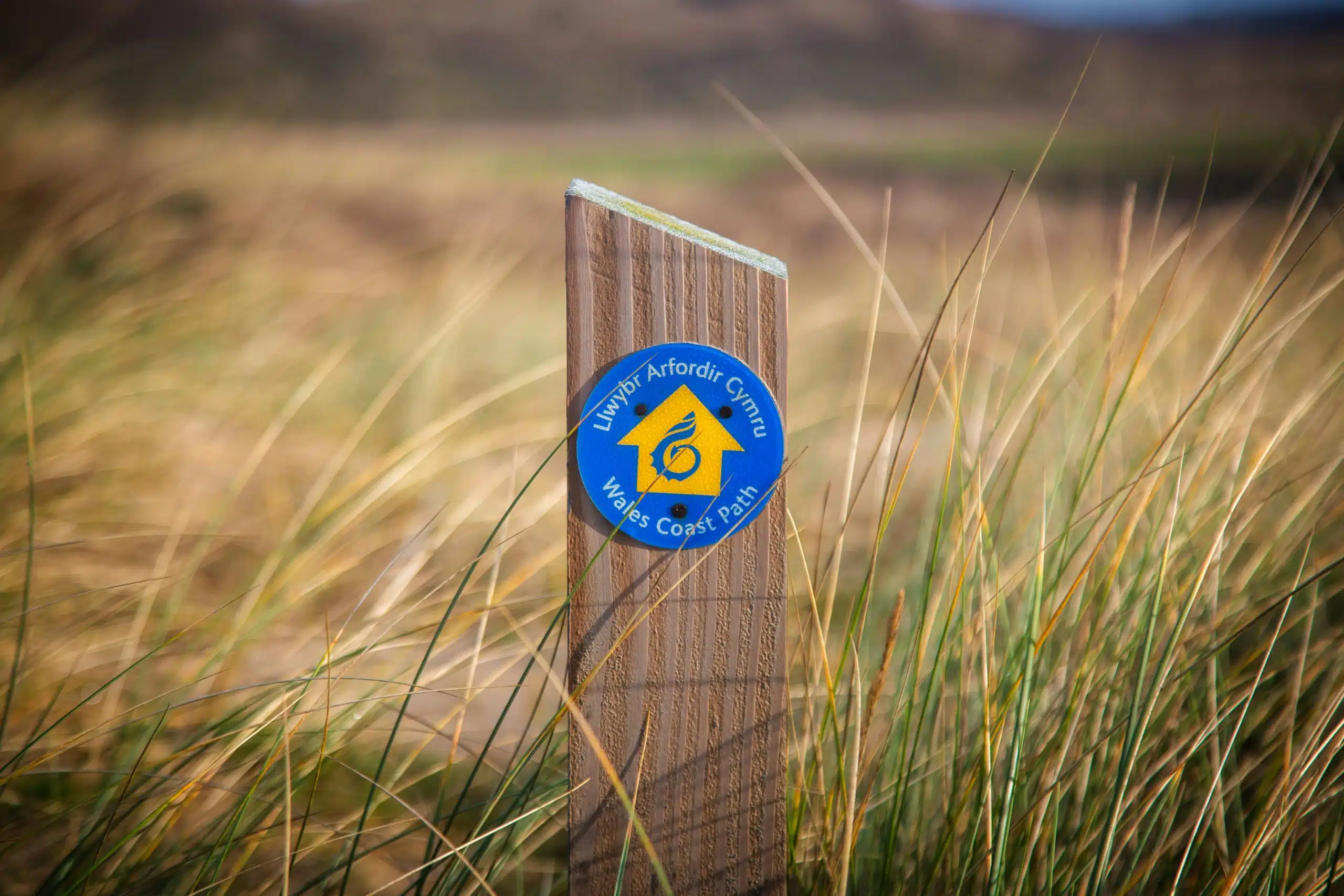 Welsh Coast Path sign, Mike Erskine