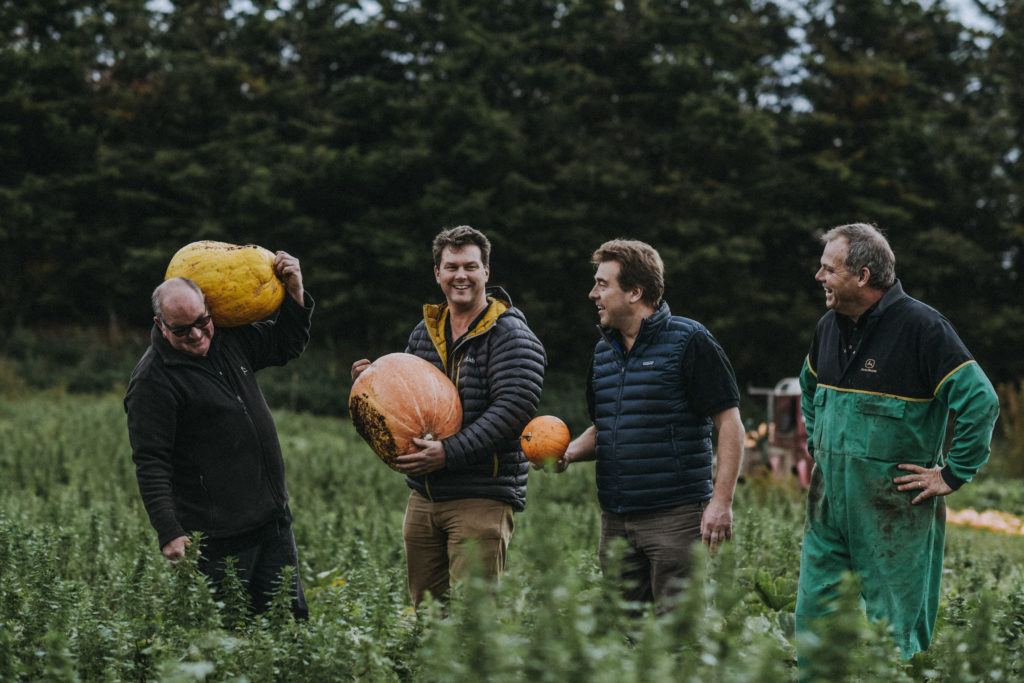 Pumpkins at Darts Farm Devon image (c) Matt Austin