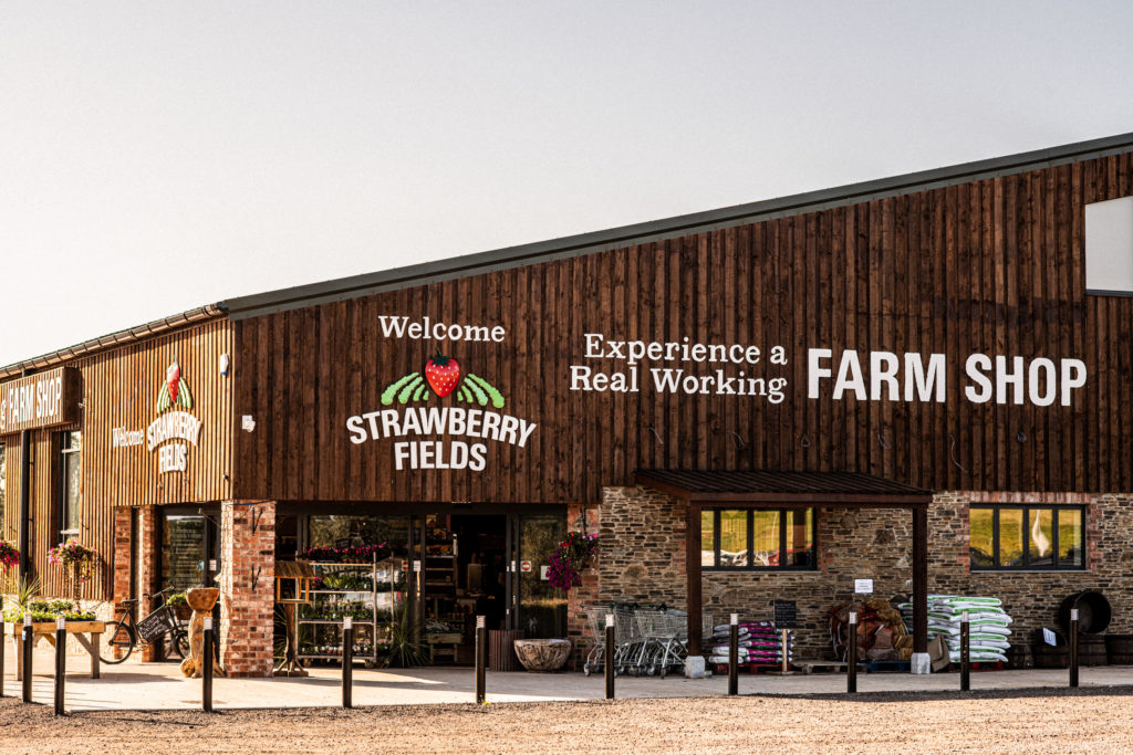 Strawberry Fields Farm Shop, Lifton, (c) Matt Austin