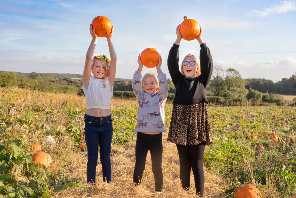 Pumpkins at the pumpkin patch at Drewton's Farm
