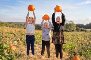 Pumpkins at the pumpkin patch at Drewton's Farm