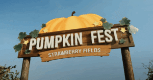 Pumpkin Fest at Strawberry Fields, Devon