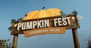 Pumpkin Fest at Strawberry Fields, Devon