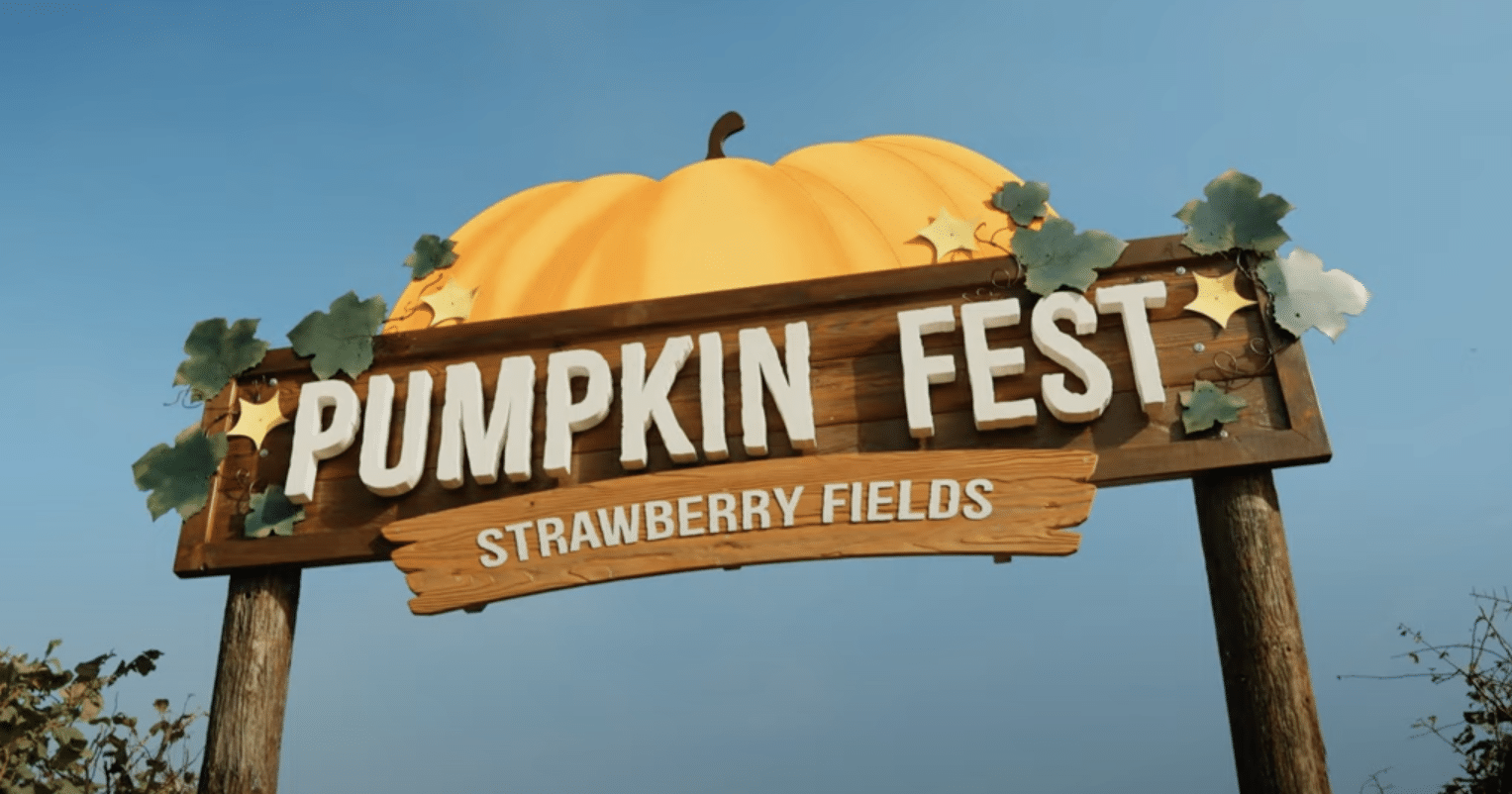 Pumpkin Fest at Strawberry Fields, Devon
