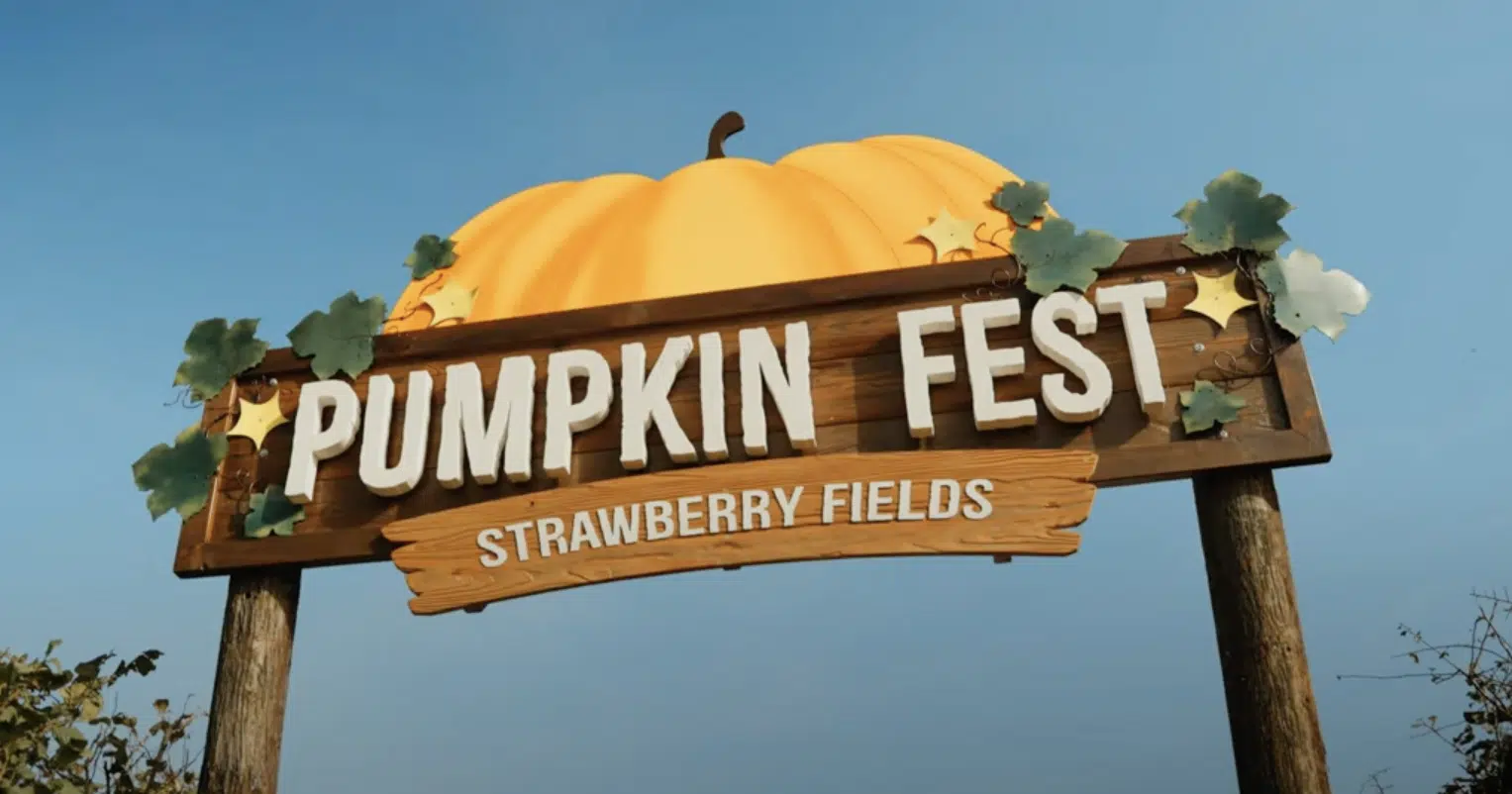 Pumpkin Fest at Strawberry Fields, Devon