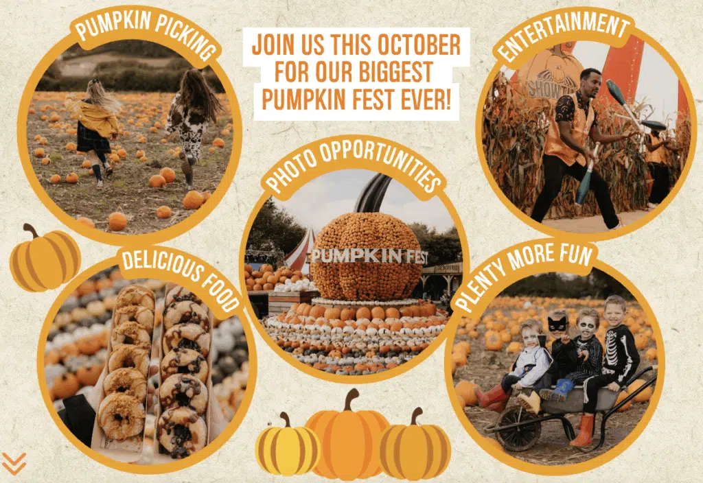 What's on graphic at Pumpkin Fest, Strawberry Fields Farm Shop, Lifton