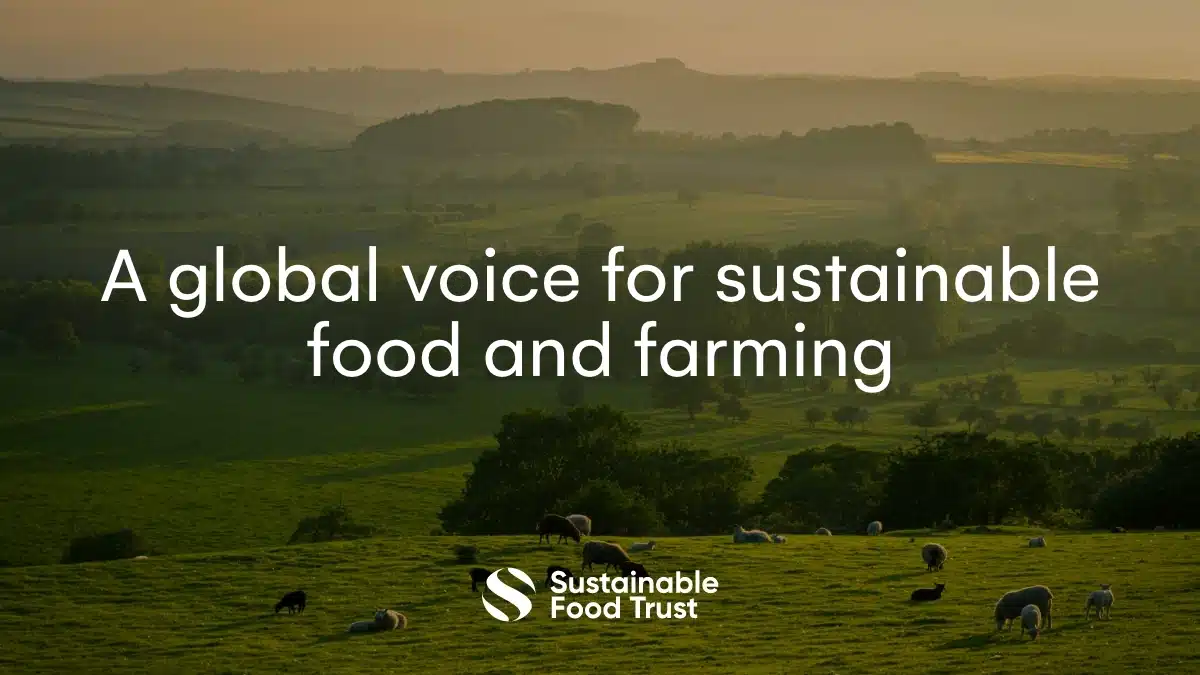 The Sustainable Food Trust Logo