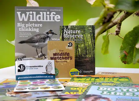 The Wildlife Trusts Gloucestershire magazine examples